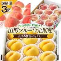 【ふるさと納税】FS21-655【定期便3回】山形の桃食べ尽くし！