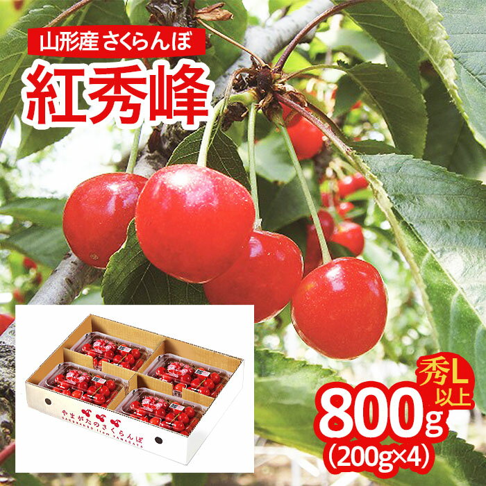 山形産 さくらんぼ(紅秀峰) L以上 800g(200g×4パック) 【令和6年産先行予約】FU22-715 フルーツ くだもの 果物 お取り寄せ 先行予約