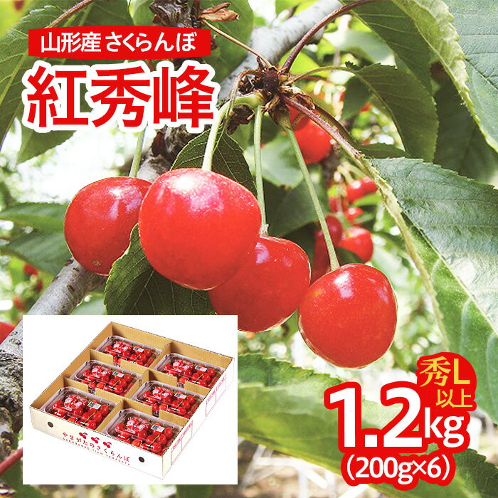 【ふるさと納税】山形産 さくらんぼ(紅秀峰) L以上 1.2kg(200g×6パック) 【令和6年産先行予約】FU21-6...