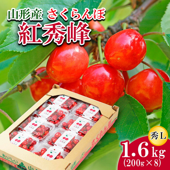 さくらんぼ 紅秀峰 L 1.6kg(200g×8) 【令和6年産先行予約】FU21-815 フルーツ くだもの 果物 お取り寄せ 先行予約