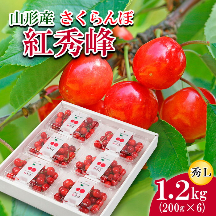 【ふるさと納税】さくらんぼ 紅秀峰 L 1.2kg(200g