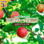 【ふるさと納税】【定期便3回】山形のすもも三昧 【令和6年産先行予約】FU21-010 フルーツ くだもの 果物 お取り寄せ 先行予約