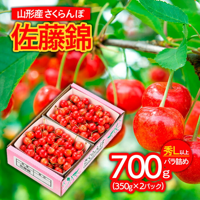 山形市産 さくらんぼ 佐藤錦 L以上 700g(350g×2パック)バラ詰め [令和6年産先行予約]FU21-824 フルーツ くだもの 果物 お取り寄せ 先行予約