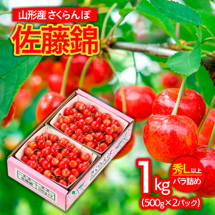 【ふるさと納税】山形市産さくらんぼ 佐藤錦 L以上 1kg(500g×2)バラ詰め 【令和6年産先行予約】FU21-825 フルーツ くだもの 果物 お取り寄せ 先行予約