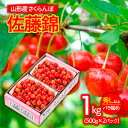 【ふるさと納税】山形市産さくらんぼ 佐藤錦 L以上 1kg(500g×2)バラ詰め 【令和6年産先行予約】FU21-825 フルーツ くだもの 果物 お取り寄せ 先行予約