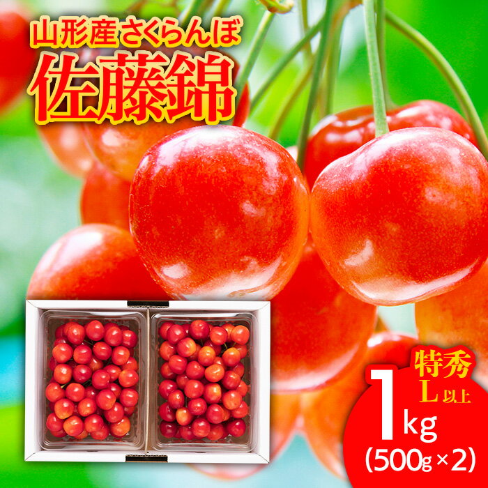 【ふるさと納税】さくらんぼ 佐藤錦1kg(500g×2) 特秀 L以上 バラ詰め【令和6年産先行予約】 FU21-172 ...