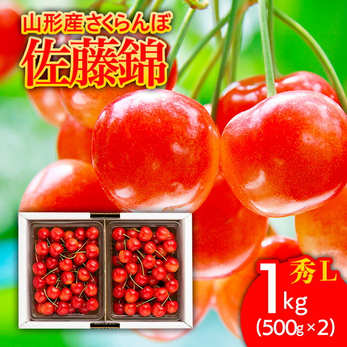 さくらんぼ 佐藤錦1kg(500g×2) L バラ詰め 【令和6年産先行予約】FU21-173 サクランボ お取り寄せ 果物 くだもの フルーツ