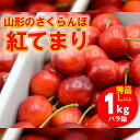 山形のさくらんぼ 紅てまり 1kg Lサイズ以上 バラ詰 FU21-616 フルーツ くだもの 果物 お取り寄せ 先行予約