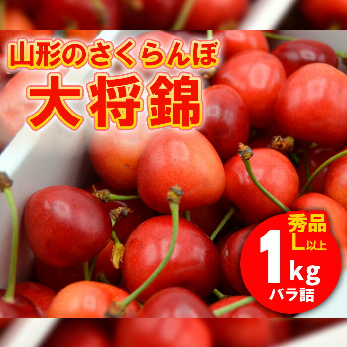 山形のさくらんぼ 大将錦 1kg Lサイズ以上 バラ詰 FU21-633 フルーツ くだもの 果物 お取り寄せ 先行予約