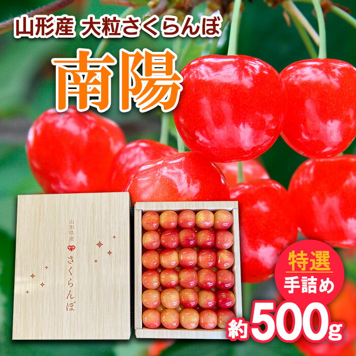 【ふるさと納税】山形産 大粒さくらんぼ 南陽 特選 手詰め 約500g 【令和6年産先行予約】FU21-809 フルーツ くだもの 果物 お取り寄せ 先行予約