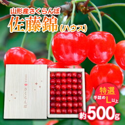 【ふるさと納税】さくらんぼ 佐藤錦 (ハウス) 特選 手詰め L以上 約500g 【令和6年産先行予約】FU18-800 フルーツ くだもの 果物 お取り寄せ 先行予約