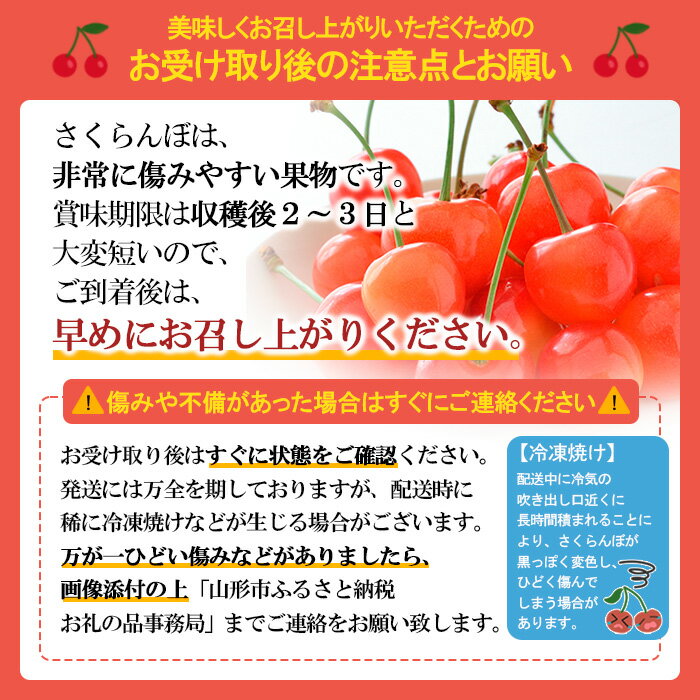 【ふるさと納税】山形のさくらんぼ 紅てまり 約800g Lサイズ以上(200g×4) 【令和6年産先行予約】FU22-058 フルーツ くだもの 果物 お取り寄せ 先行予約