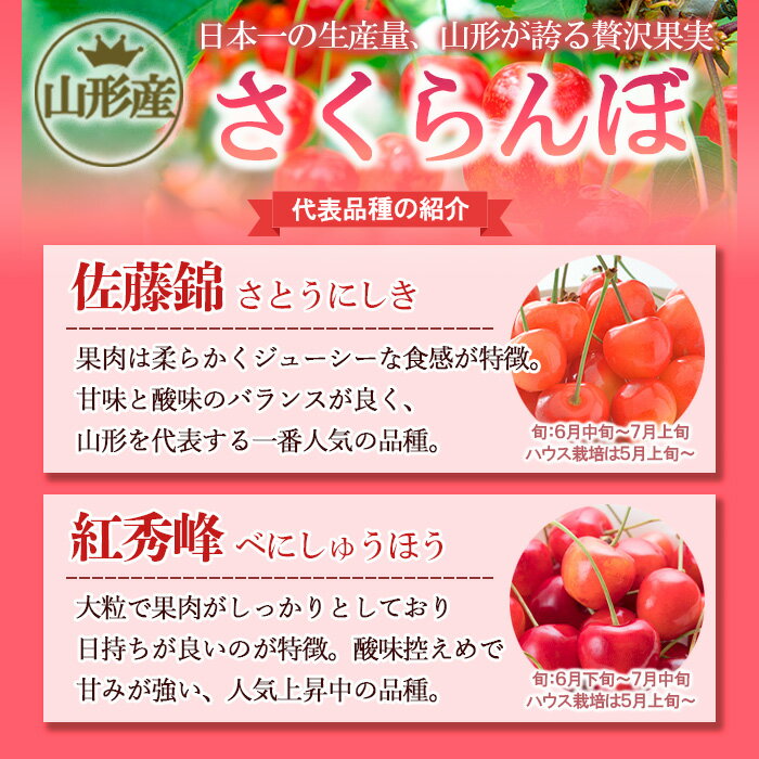 【ふるさと納税】山形市産 さくらんぼ 紅秀峰 2L以上 500g 化粧箱手詰め 【令和6年産先行予約】FU18-933 フルーツ くだもの 果物 お取り寄せ 先行予約