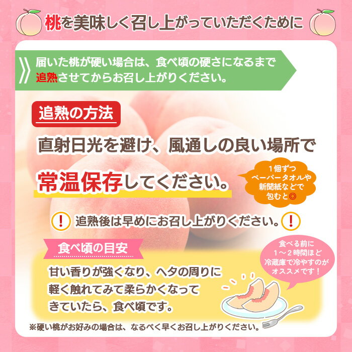 【ふるさと納税】【定期便3回】山形の魅力3選～8月スタート～ FY24-019 3