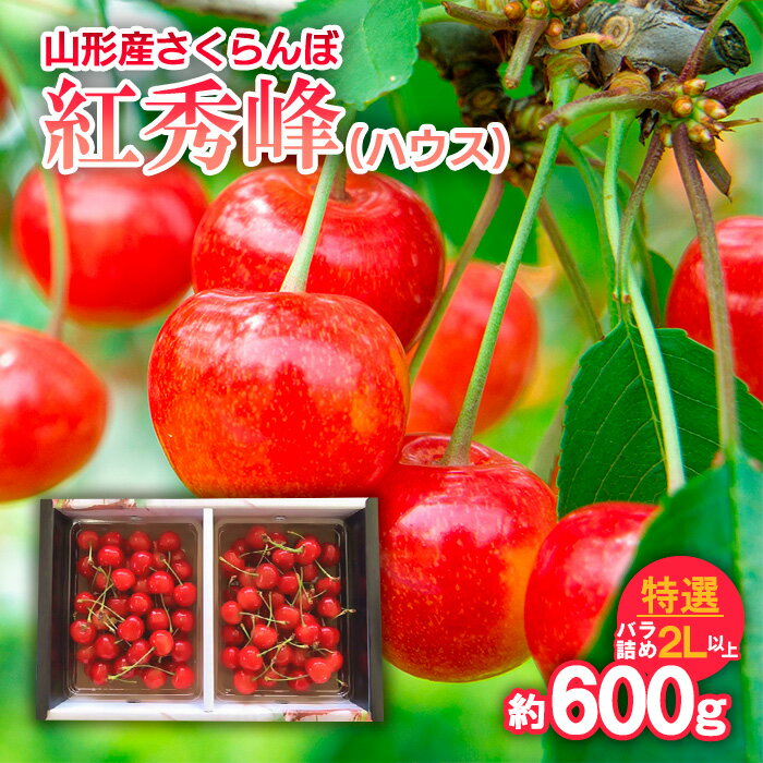 さくらんぼ 紅秀峰(ハウス)特選 バラ詰め 2L以上 約600g [令和6年産先行予約]FU18-375 フルーツ くだもの 果物 お取り寄せ 先行予約