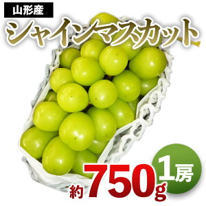 【ふるさと納税】山形産 シャインマスカット 秀品 1房入 約750g fs22-723 fs22-722 FS21-653 ぶどう ブドウ 山形県 果物 くだもの フルーツ