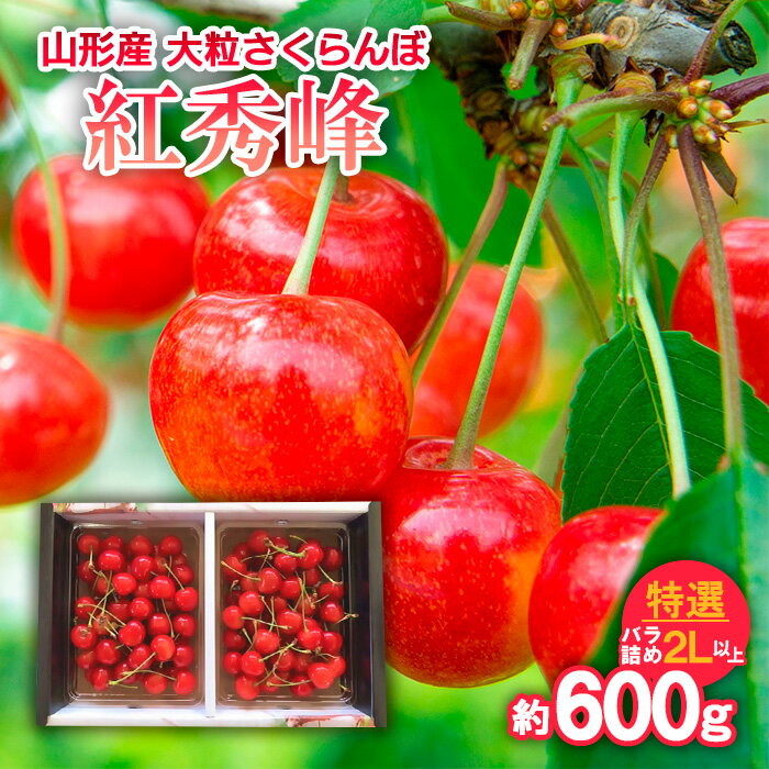 ]山形産 大粒さくらんぼ 紅秀峰 特選 バラ詰め 2L以上 約600g [令和6年産先行予約]FU21-806 フルーツ くだもの 果物 お取り寄せ 先行予約