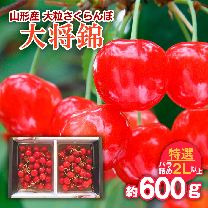 ڤդ뤵Ǽǡۻ γ 羭  Хͤ 2Lʾ 600g 6ǯͽFU21-810 ե롼 ...