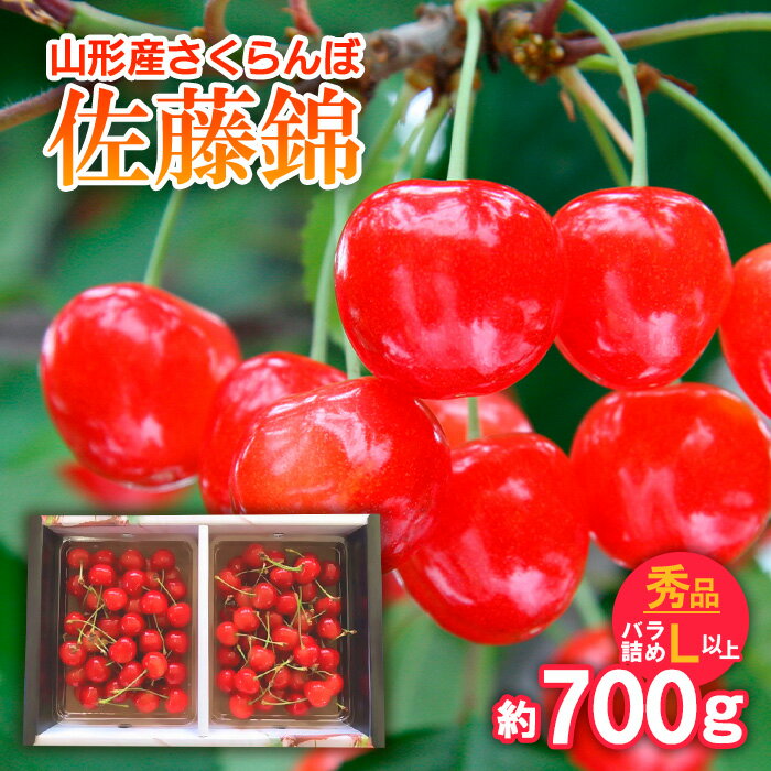 ڤդ뤵Ǽǡۤ ƣ Хͤ Lʾ 700g 6ǯͽFU21-812 ե롼  ʪ ...