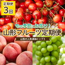 【ふるさと納税】【定期便3回】やまもりやまがたの定期便～山形