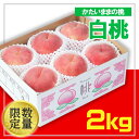 【ふるさと納税】☆フルーツ王国山形☆白桃 秀品 2kg(かたいままの桃) FS24-684 山形県 もも モモ 果物 くだもの フルーツ