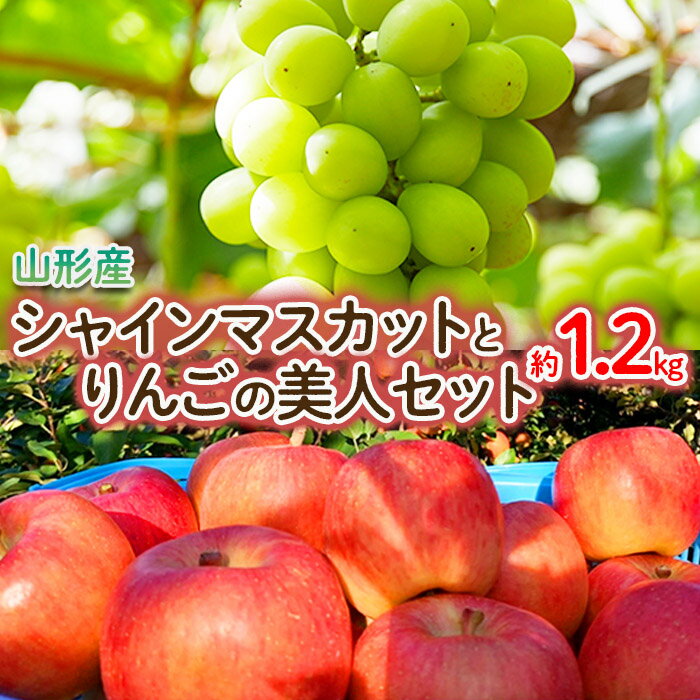 山形産 シャインマスカットとりんごの美人セット 秀品 計約1.2kg [令和6年産先行予約]FU22-015 フルーツ くだもの 果物 お取り寄せ 先行予約