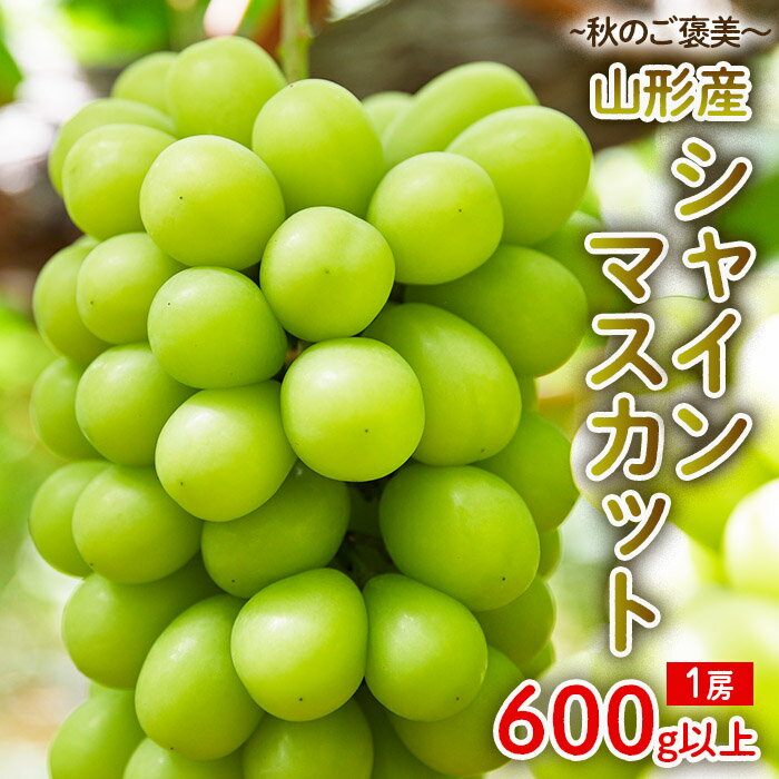 〜秋のご褒美〜シャインマスカット1房 600g以上 [令和6年産先行予約]FU22-016 フルーツ くだもの 果物 お取り寄せ 先行予約