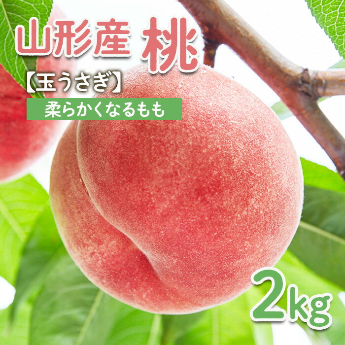 【ふるさと納税】～私のおススメ～山形産 もも 2kg【玉うさ