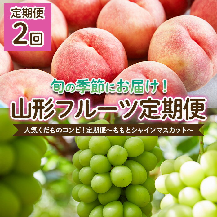 [定期便2回]人気くだものコンビ!定期便〜ももとシャインマスカット〜 [令和6年産先行予約]FU22-022 フルーツ くだもの 果物 お取り寄せ 先行予約