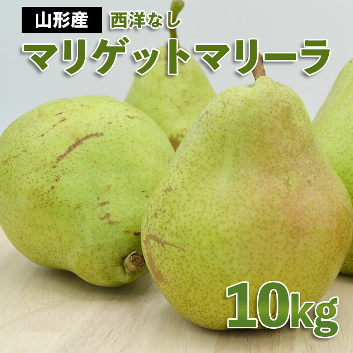 【ふるさと納税】山形市産 西洋なし(マリゲットマリーラ) 秀 10kg(5kg×2) 14玉～30玉 【令和6年産先行予約】FU22-024…