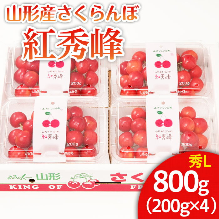 山形市産 さくらんぼ 紅秀峰 L 800g(200g×4) 【令和6年産先行予約】FU22-031 フルーツ くだもの 果物 お取り寄せ 先行予約