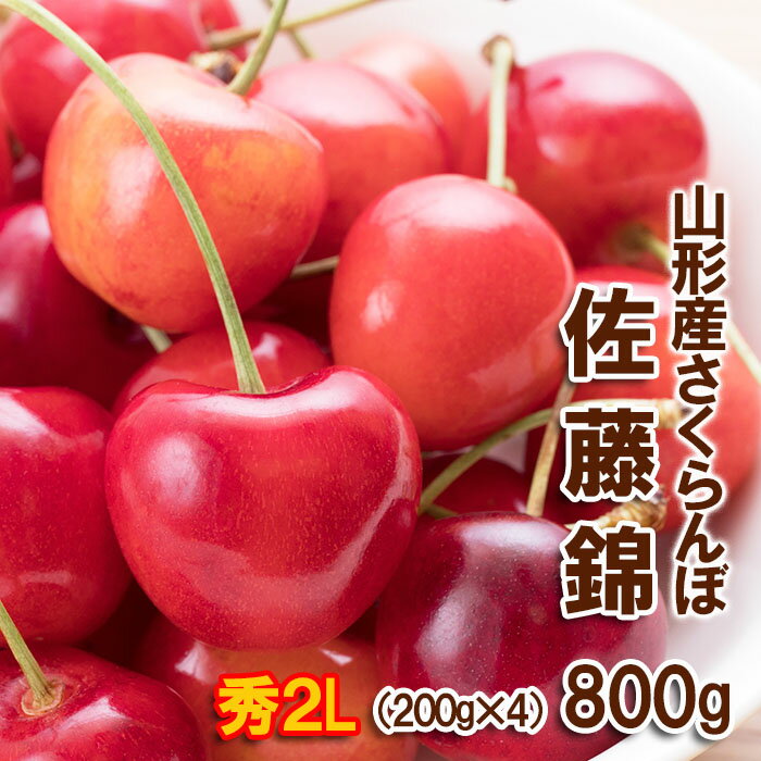 【ふるさと納税】さくらんぼ 佐藤錦 2Lサイズ 800g(200g×4パック) 【令和6年産先行予約】FU22-032 フルーツ くだもの 果物 お取り寄せ 先行予約