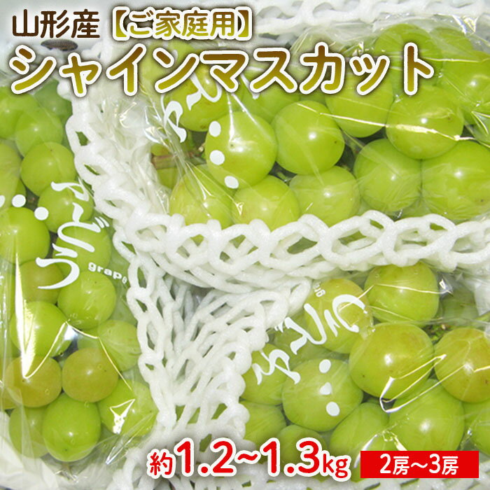 山形産 シャインマスカット 1.2kg～1.3kg(2～3房) FU22-033 ぶどう ブドウ 山形県 果物 くだもの フルーツ 訳あり