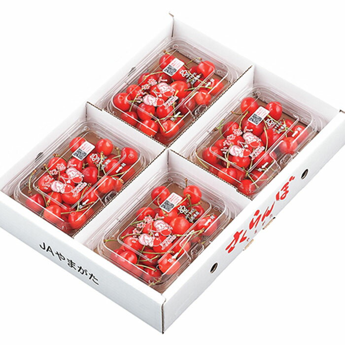 【ふるさと納税】【定期便3回】山形市の果物こだいすこだまかんねえは 【令和8年産先行予約】FU24-615 くだもの 果物 フルーツ 山形 山形県 山形市 お取り寄せ 2026年産