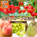 【ふるさと納税】【定期便5回】山形果実の彩 【令和6年産先行