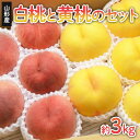 【ふるさと納税】山形の白桃と黄桃のセット 約3kg(6～13