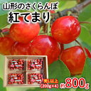 【ふるさと納税】山形のさくらんぼ 紅てまり 約800g Lサイズ以上(200g×4) 【令和6年産先 ...