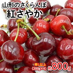 【ふるさと納税】山形のさくらんぼ 紅さやか 約800g Lサイズ以上(200g×4) 【令和6年産先行予約】FU22-059 フルーツ くだもの 果物 お取り寄せ 先行予約 1万円 1万 10000円