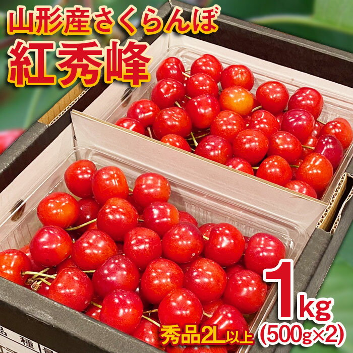 さくらんぼ 紅秀峰 2Lサイズ 1kg(500g×2パック) [令和6年産先行予約]FU22-078 フルーツ くだもの 果物 お取り寄せ 先行予約