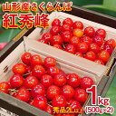 【ふるさと納税】さくらんぼ 紅秀峰 ”希少な大粒” 厳選 2Lサイズ 1kg(500g×2パック)【令和8年産先行予約】FS25-570 くだもの 果物 フルーツ 山形 山形県 山形市 お取り寄せ 2026年産