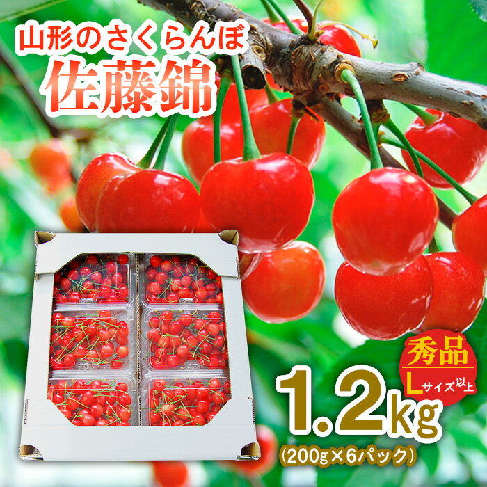 山形のさくらんぼ 佐藤錦 1.2kg(200g×6パック) Lサイズ以上 [令和6年産先行予約]FU21-622 フルーツ くだもの 果物 お取り寄せ 先行予約