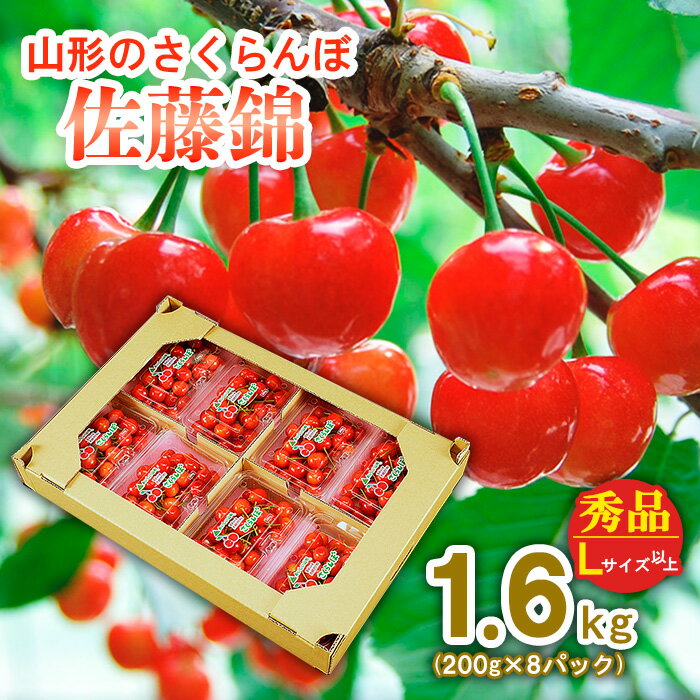 【ふるさと納税】山形のさくらんぼ 佐藤錦 1.6kg(200g×8パック) 秀品 Lサイズ以上 FS21-621 サクランボ お取り寄せ 果物 くだもの フルーツのサムネイル