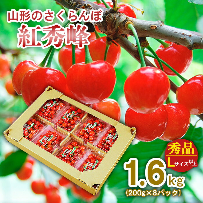 山形のさくらんぼ 紅秀峰 1.6kg(200g×8パック) Lサイズ以上 【令和6年産先行予約】FU21-618 フルーツ くだもの 果物 お取り寄せ 先行予約