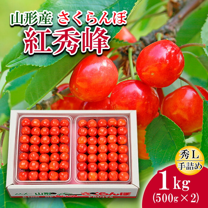【ふるさと納税】さくらんぼ(紅秀峰)L1kg手詰(500g×2) 【令和6年産先行予約】FS19-701 フルーツ くだもの 果物 お取り寄せ 先行予約のサムネイル