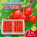 【ふるさと納税】さくらんぼ(紅秀峰)L1kg手詰(500g×2) 【令和8年産先行予約】FS19-701 くだもの 果物 フルーツ 山形 山形県 山形市 お取り寄せ 2026年産