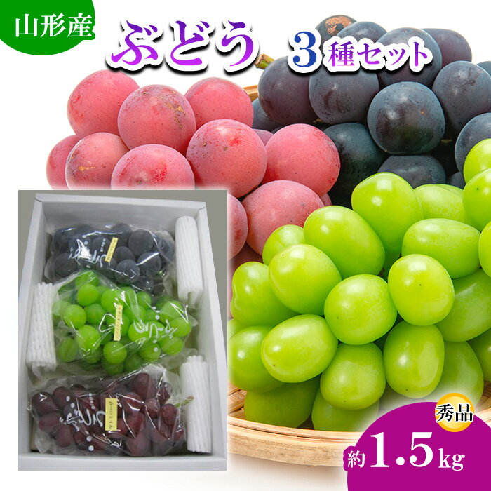 山形市産ぶどう 3種セット 秀 約1.5kg 【令和6年産先行予約】FU19-696 フルーツ くだもの 果物 お取り寄せ 先行予約