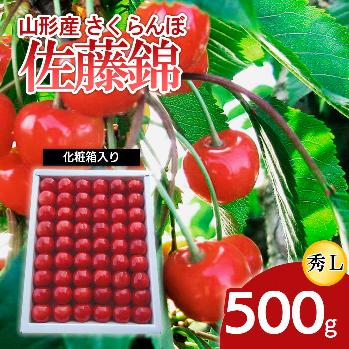 【ふるさと納税】山形産 さくらんぼ 佐藤錦 L 500g化粧箱入り 【令和6年産先行予約】FU22-713 フルーツ くだもの 果物 お取り寄せ 先行予約