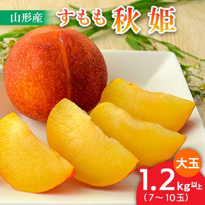 山形のすもも[秋姫]大玉 1.2kg以上(7〜10玉) [令和7年産先行予約]FU22-800くだもの 果物 フルーツ 山形 山形県 山形市 お取り寄せ 2025年産