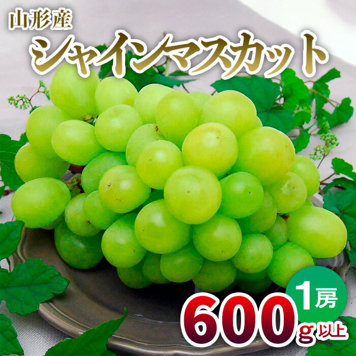 【ふるさと納税】山形の大粒シャインマスカット 1房 600g以上 【令和6年産先行予約】FU22-798 フルーツ くだもの 果物 お取り寄せ 先行予約