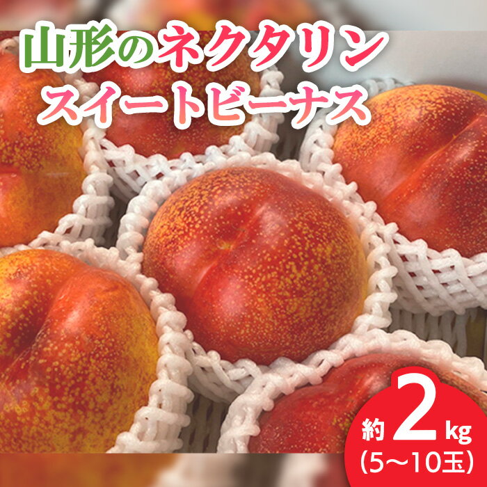 山形のネクタリン(スイートビーナス)約2kg(5〜10玉) [令和7年産先行予約]FS24-568 くだもの 果物 フルーツ 山形 山形県 山形市 お取り寄せ 2025年産